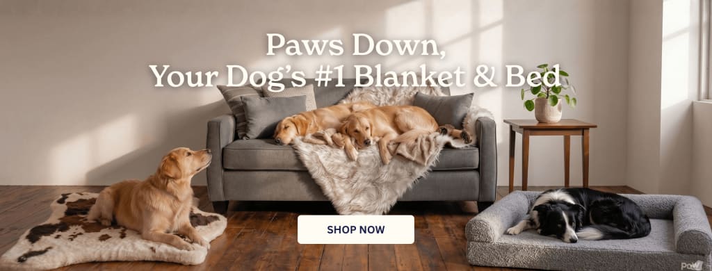 Waterproof Throw Dog Blanket