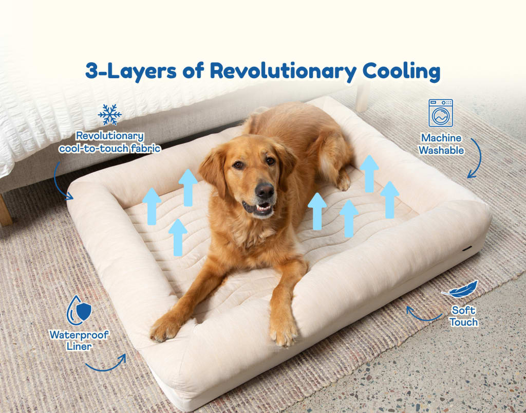 Waterproof Throw Dog Blanket