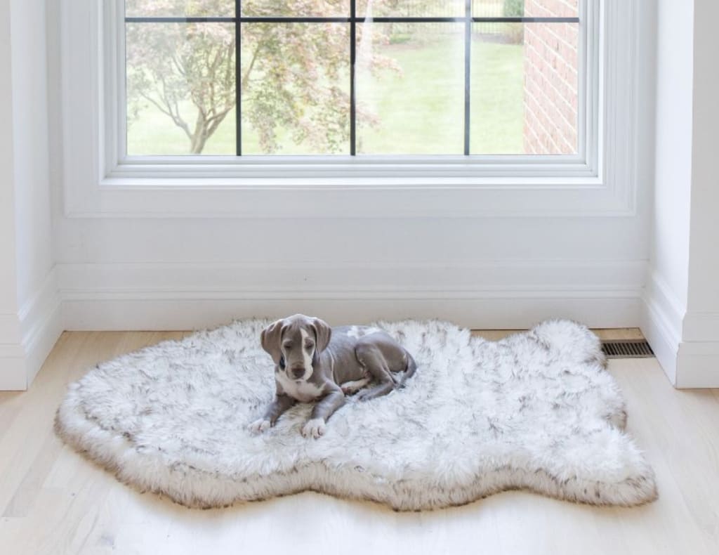 Waterproof Throw Dog Blanket