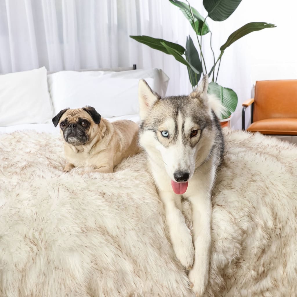 Waterproof Throw Dog Blanket